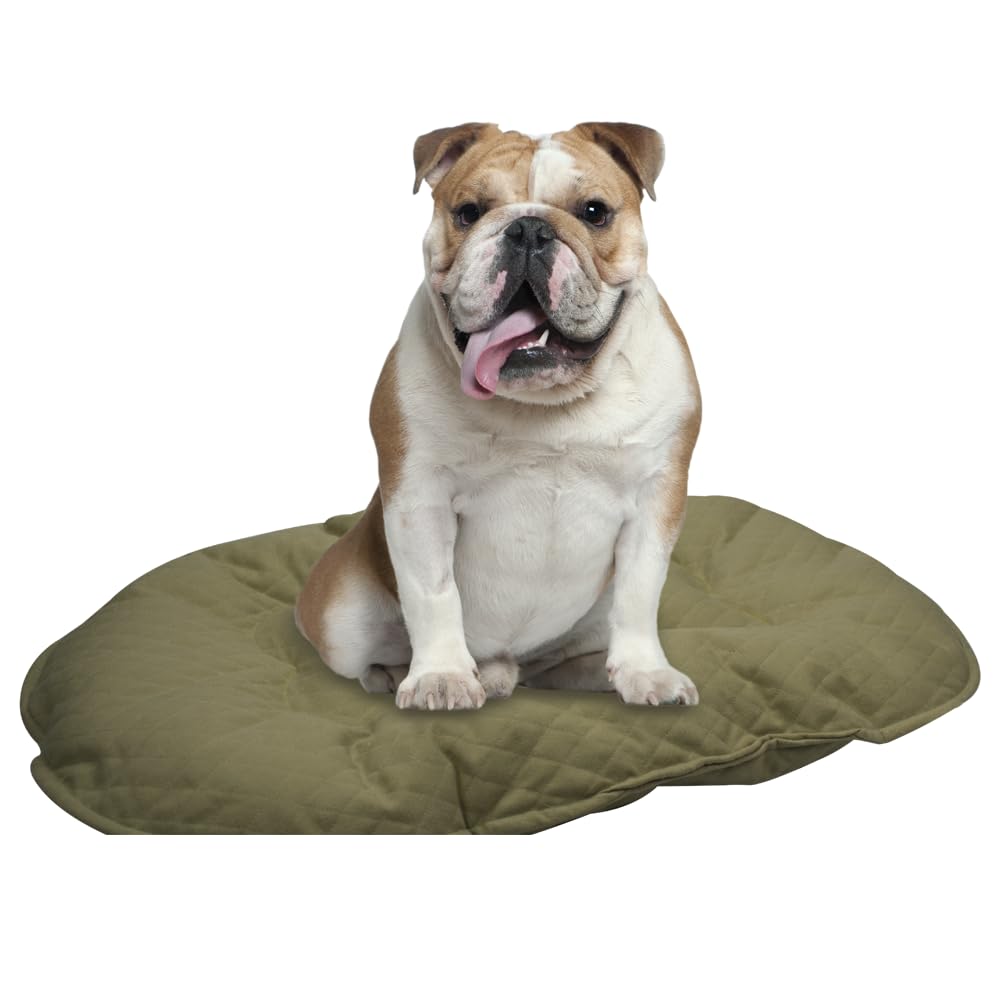 Fancy Pets Cojín Grande para Cama de Plástico – 77 x 51 cm, Tela Suave y Resistente, Descanso Cómodo para Perros, Colores Surtidos