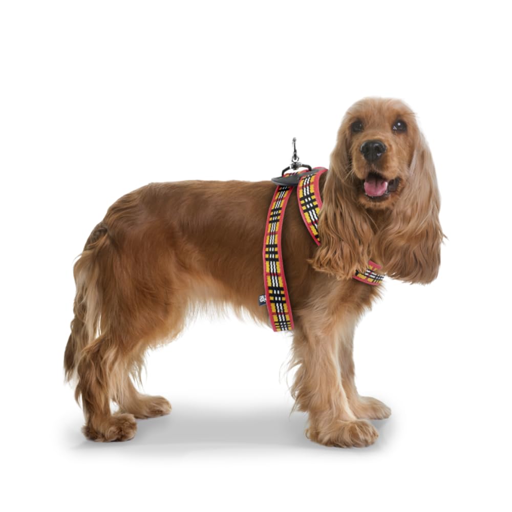 Fancy Pets Arnés Berrydog para Perro, Ajustable - ROJO - MEDIANO