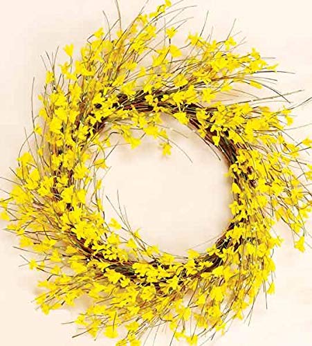 Worth Imports Corona Forsythia de 22 Pulgadas