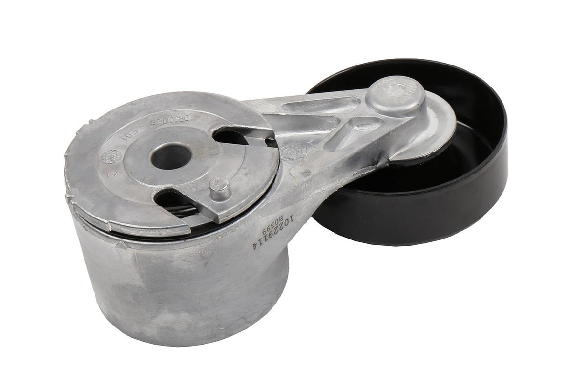 GM Genuine Parts Tensor de Correa de Transmisión 10229114 Negro