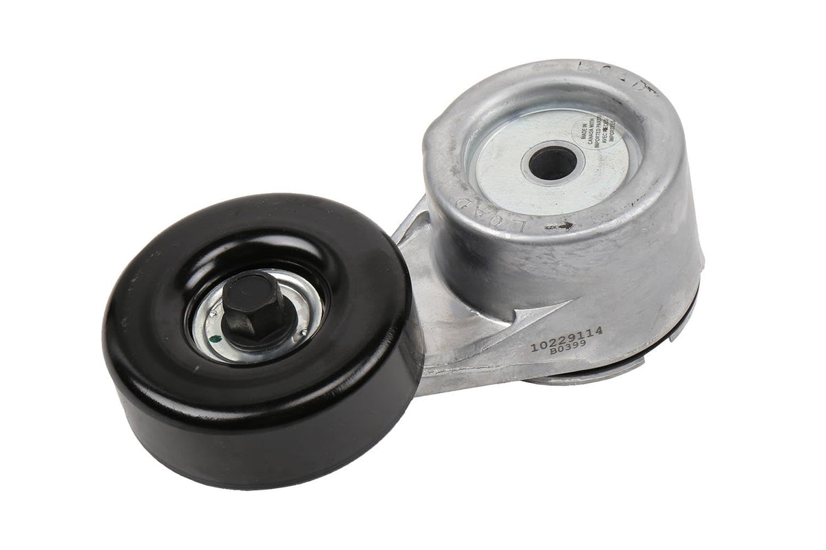GM Genuine Parts Tensor de Correa de Transmisión 10229114 Negro