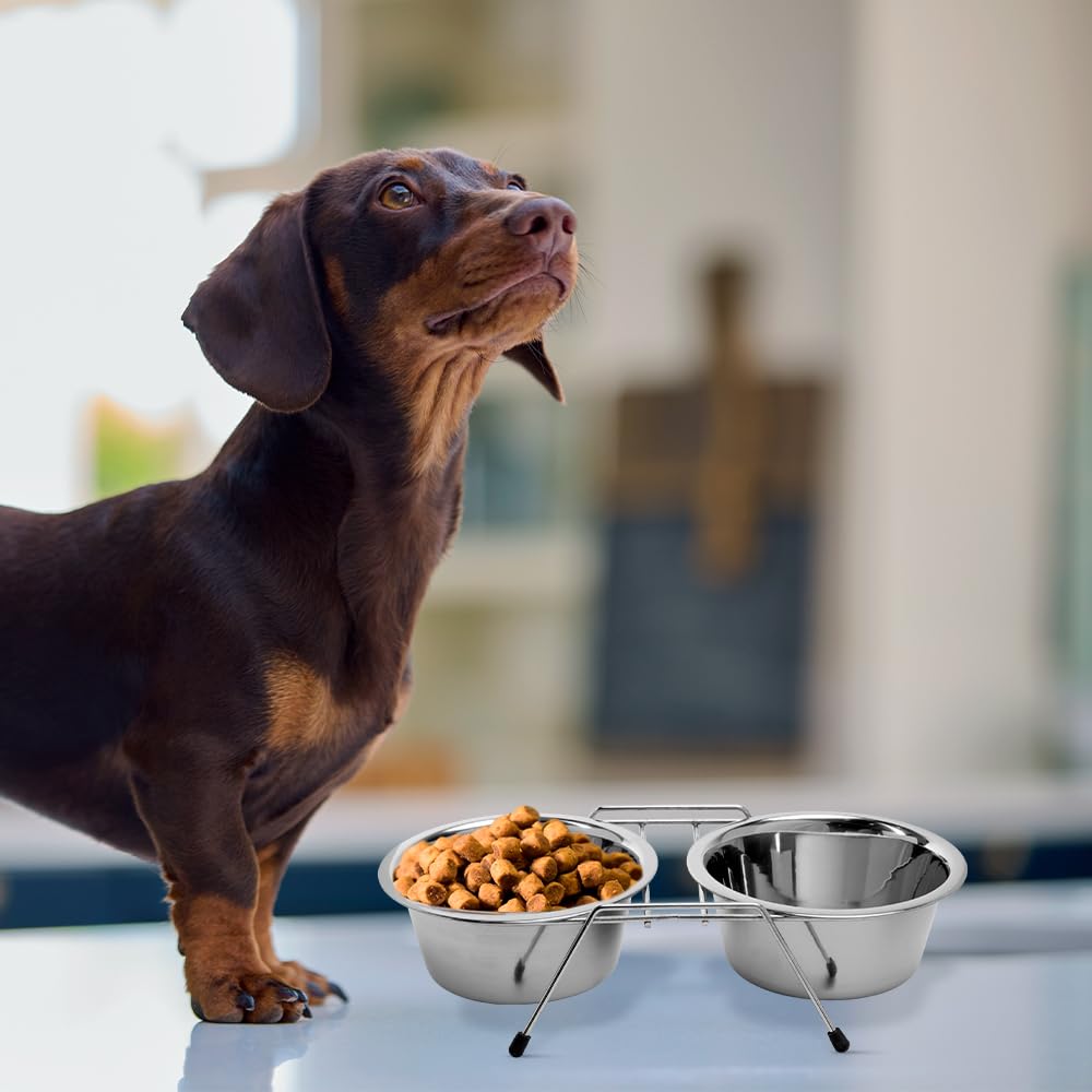 Fancy Pets Comedero Doble para Perros 16 oz (568 ml) Acero Inoxidable con Base Antideslizante