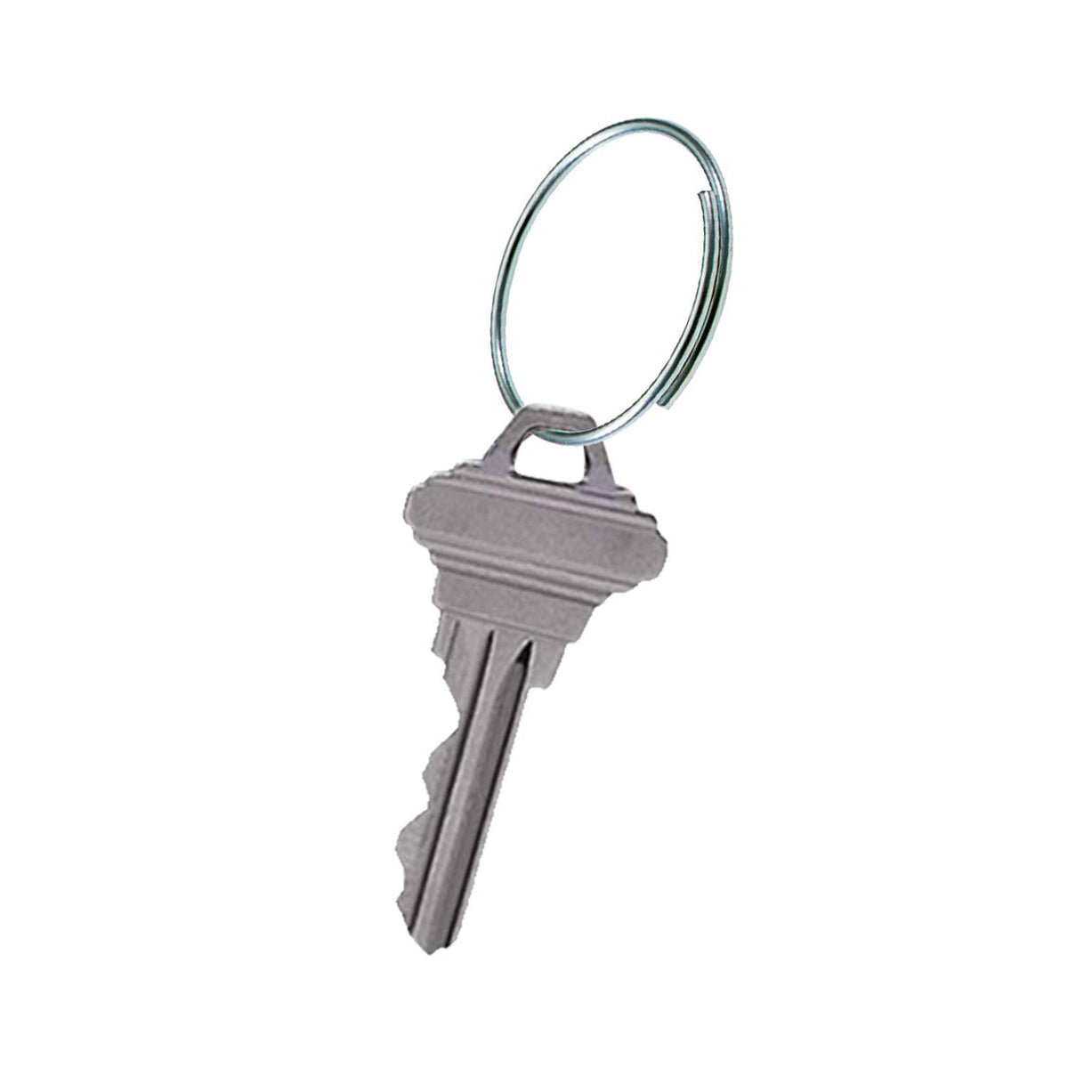 Lucky Line Easy Key Give-A-Way - Llavero de 1 pulgada de diámetro, 1000 por paquete (7591000), plateado
