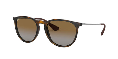 Ray-Ban Men's 0RB4171 Polarized Sunglasses