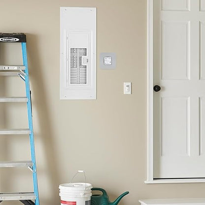 Leviton R2120-B - Panel protector contra sobretensiones tipo 1, color gris