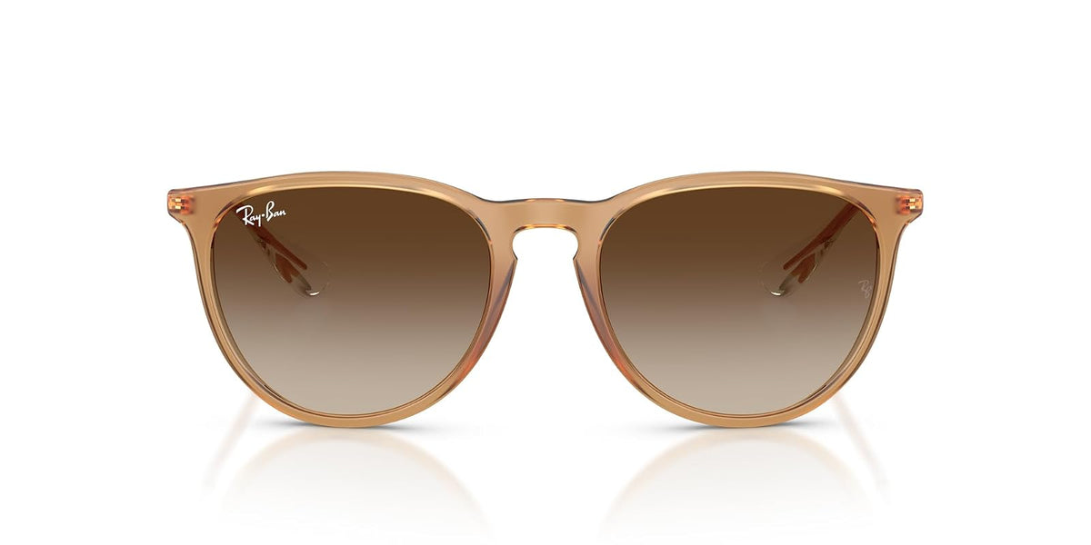 Ray-Ban Rb4171 Erika Sunglasses FEMALE