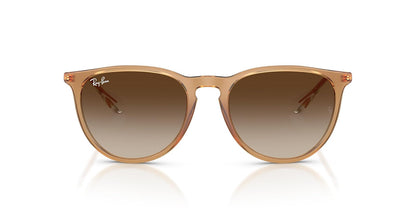 Ray-Ban Rb4171 Erika Sunglasses FEMALE