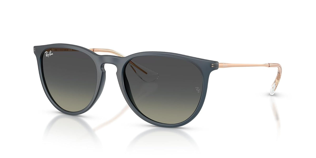Ray-Ban RB4171 Erika Round Sunglasses