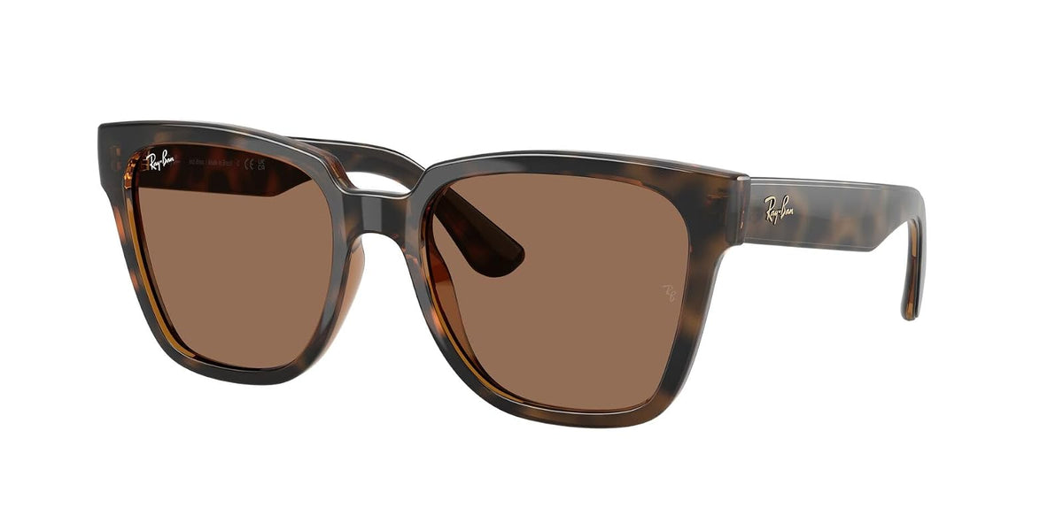 Ray-Ban Gafas de sol RB 4437 L 710/73 Dark Havana/Full Brown Policarbonato Stand