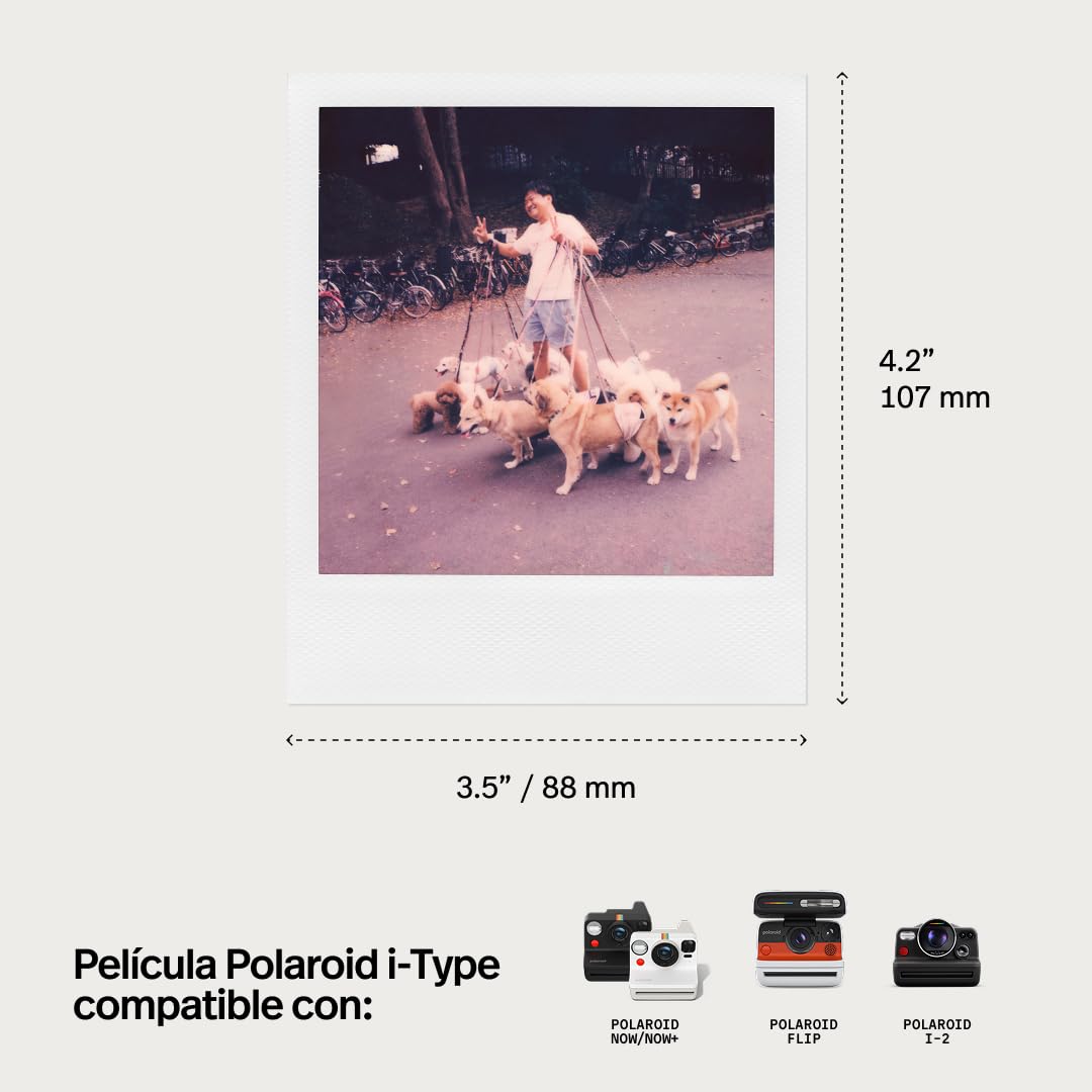 Polaroid Película de Color para Tipo I, Paquete de película a Granel X48 (48 Fotos) (6596)