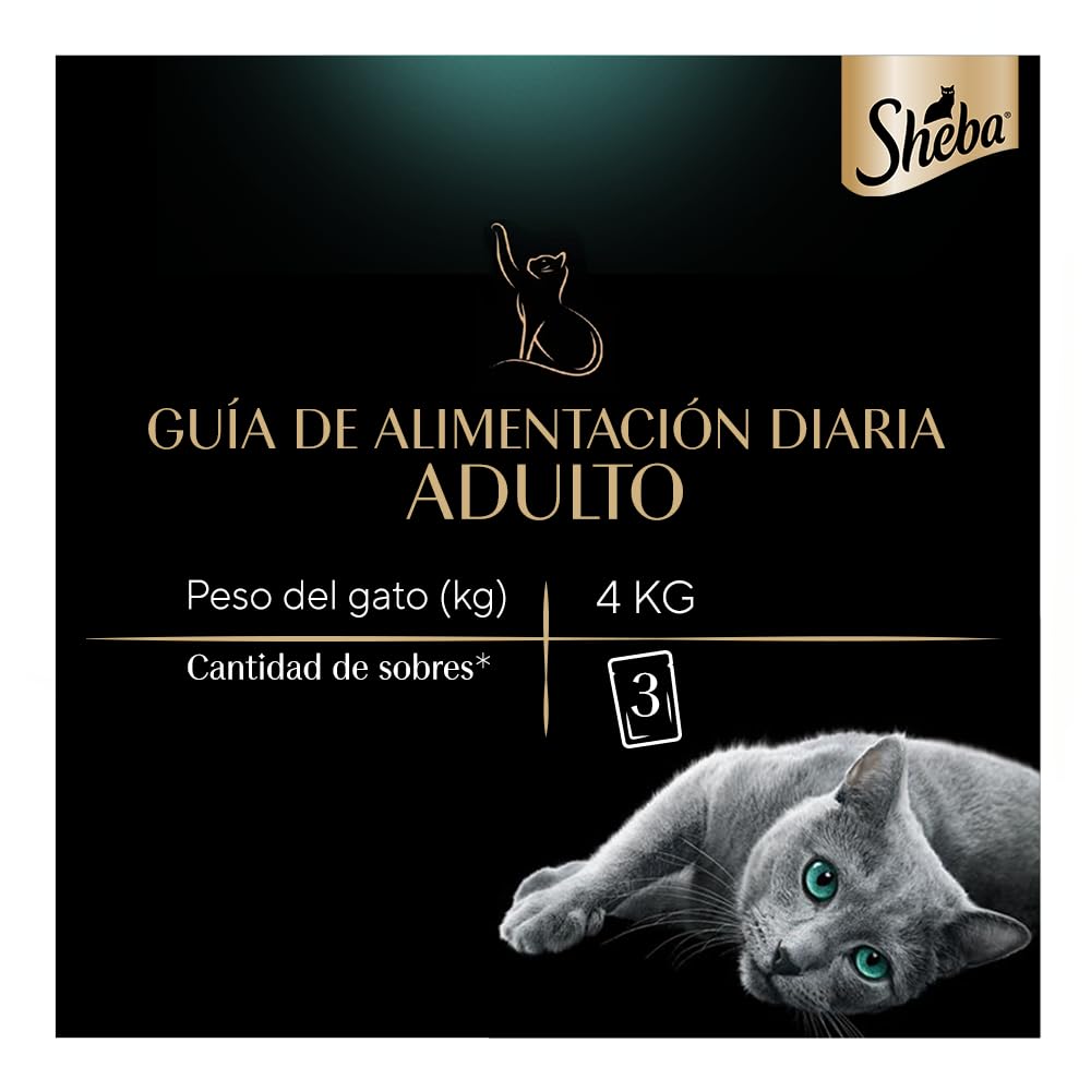 Sheba - Alimento Húmedo para Gato Adulto, Sabor Filetes De Atún Marinado 85g c/u. Paquete de 24 Unidades, SIn Colorantes ni Sabores Artificiales