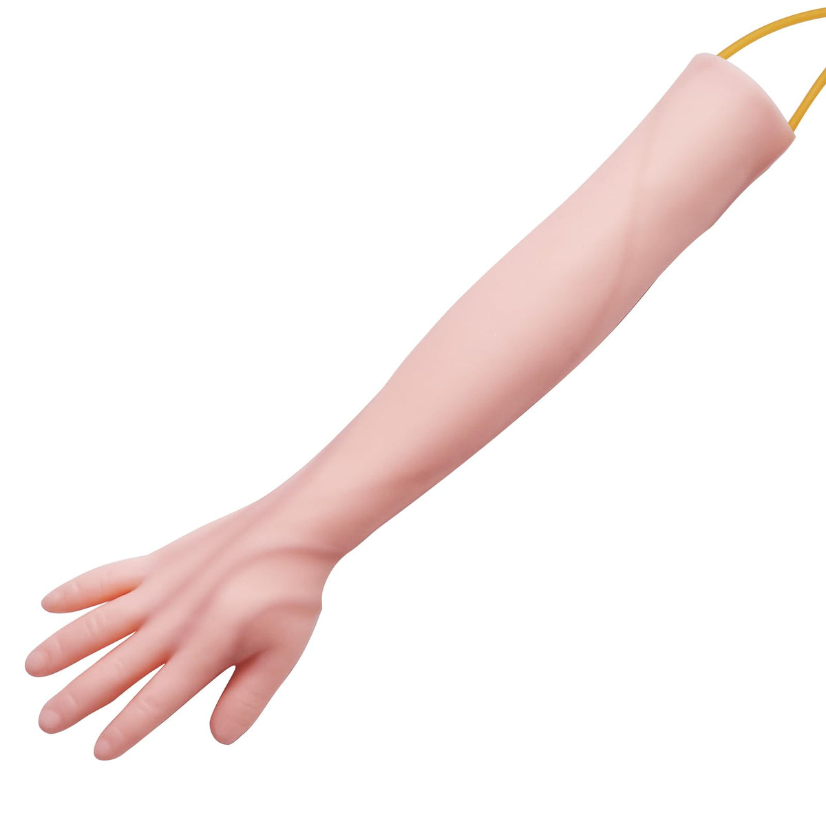 VEVOR Kit de Práctica de Flebotomía Venipuntura de Látex 12 Pcs Modelo Avanzado de Punción Venosa del Brazo 55x11x8cm Kit de Brazo de Práctica Intravenoso para Médico Aprendiz de Inyección Intravenosa