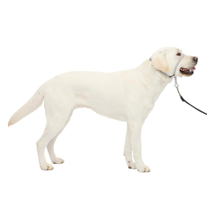 PetSafe Gentle Leader Collar para Perro sin Tirones - Large 60-130 Lb. - Plateado
