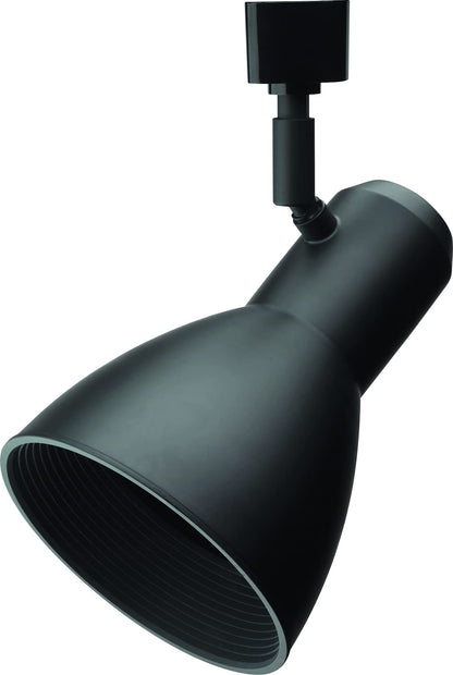 Lithonia Lighting LTHNSTBF BR30 DBL M2 Baffle Head Track Iluminación, Negro