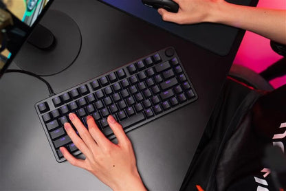 Sony INZONE KBD-H75 | Teclado para Juegos