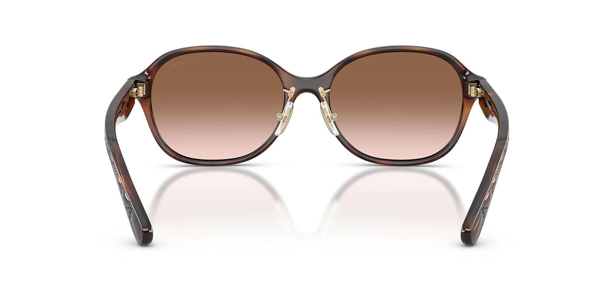 COACH Hc8445d Gafas Mujer