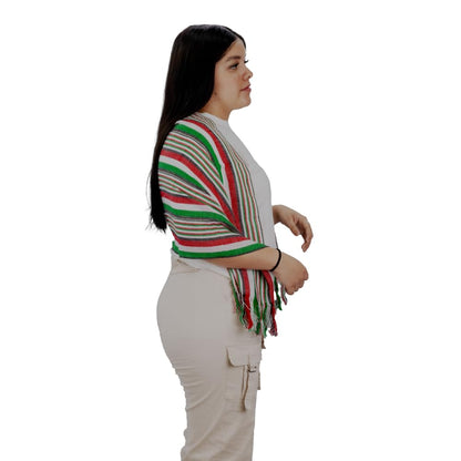 REV Accesorios Reboso Básico Tricolor, Vestimenta Fiestas Patrias Mexicanas, Diseño Viva México, 45x105cm