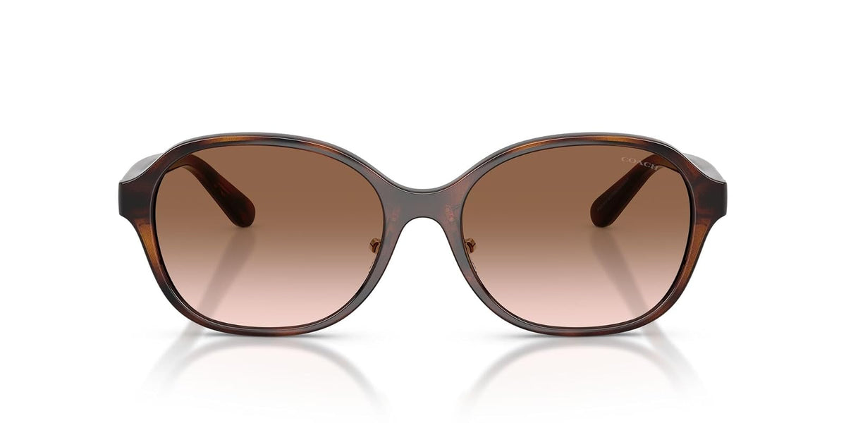COACH Hc8445d Gafas Mujer