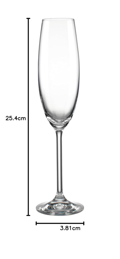 Lenox Tuscany Classics - Juego de copas de champán, compra 4, consigue 6, 1,5 kg, transparente