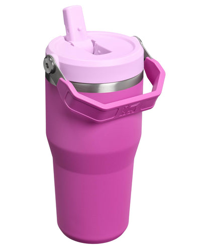 STANLEY IceFlow 2.0 - Vaso con popote abatible con asa de 20 onzas, tapa giratoria y popote abatible, botella de agua a prueba de fugas, acero inoxidable aislado, sin BPA, flor oscura