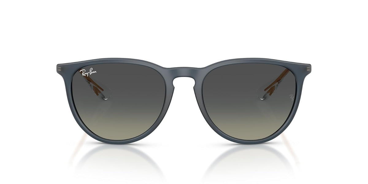 Ray-Ban RB4171 Erika Round Sunglasses