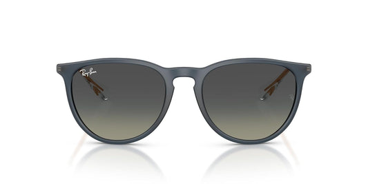 Ray-Ban RB4171 Erika Round Sunglasses