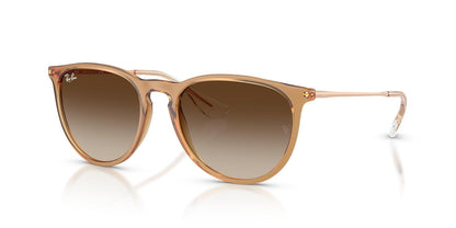 Ray-Ban Rb4171 Erika Sunglasses FEMALE