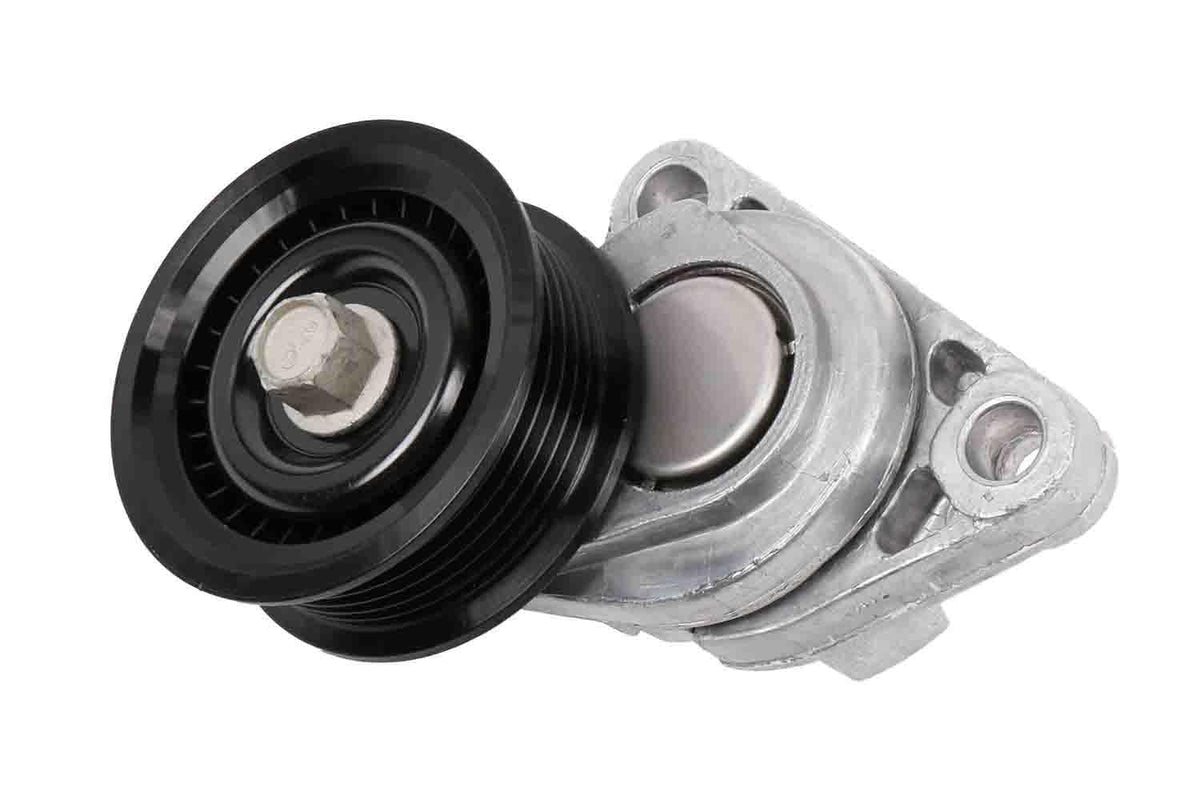 GM Genuine Parts Tensor de Correa de Transmisión 12569301