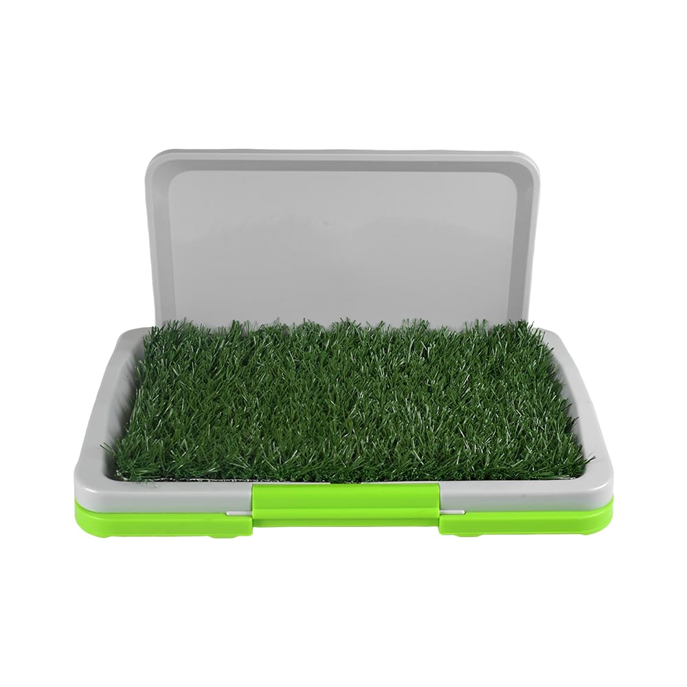 Fancy Pets Tapete Entrenador Doggie Grass para Perros Machos de Tamaño Mini