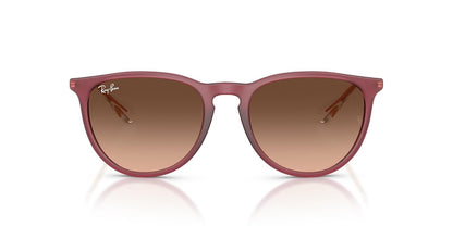 Ray-Ban Rb4171 Erika Sunglasses FEMALE - 54 - RUBBER VIOLET