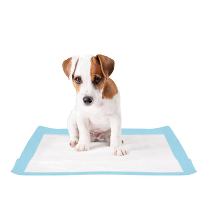 Fancy Pets Tapete Entrenador Soft Pad para Perros, Súper Absorbente - 14PZ