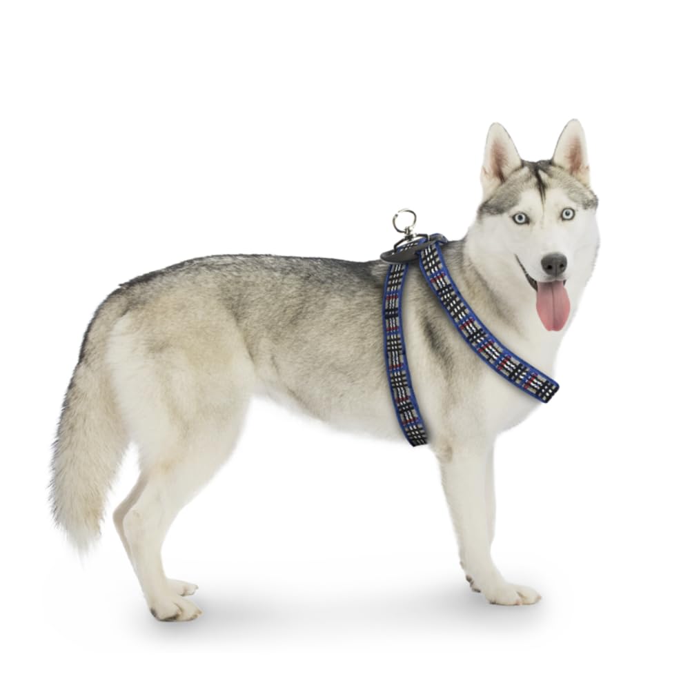 Fancy Pets Arnés Berrydog para Perro, Ajustable - AZUL - GRANDE