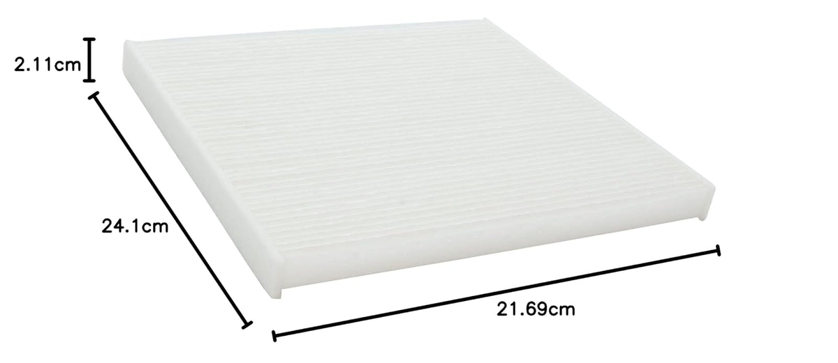 Ecogard XC10305 Filtro de aire de cabina premium para automóvil