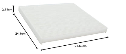 Ecogard XC10305 Filtro de aire de cabina premium para automóvil