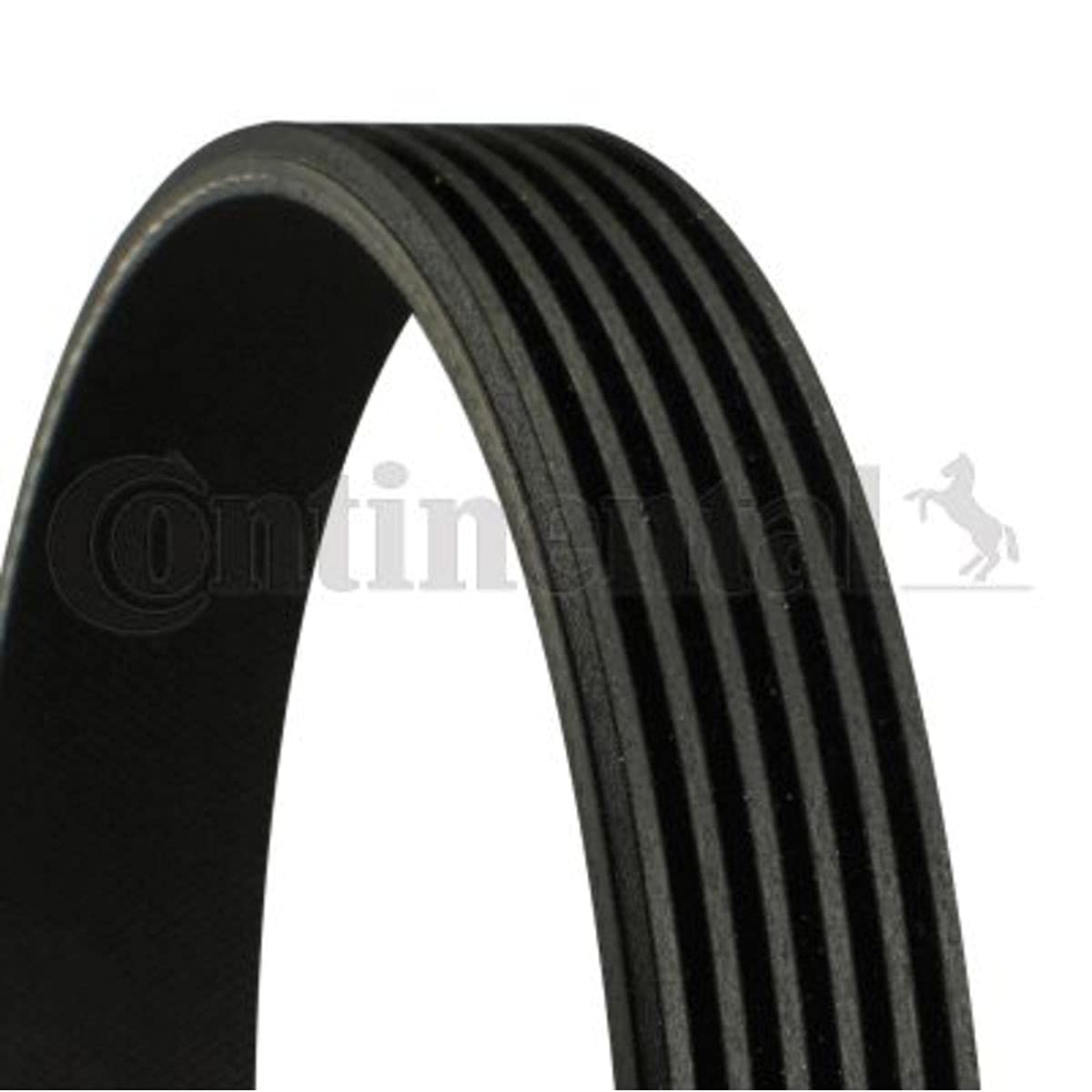 ContiTech 6K1054 Banda Multirib K060413