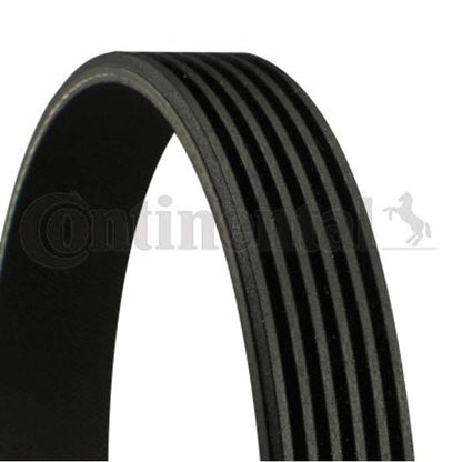 ContiTech 6K1054 Banda Multirib K060413