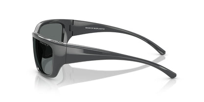 ARNETTE Sunglasses AN 4353 290087 Black/Dark Grey Policarbonate Standard