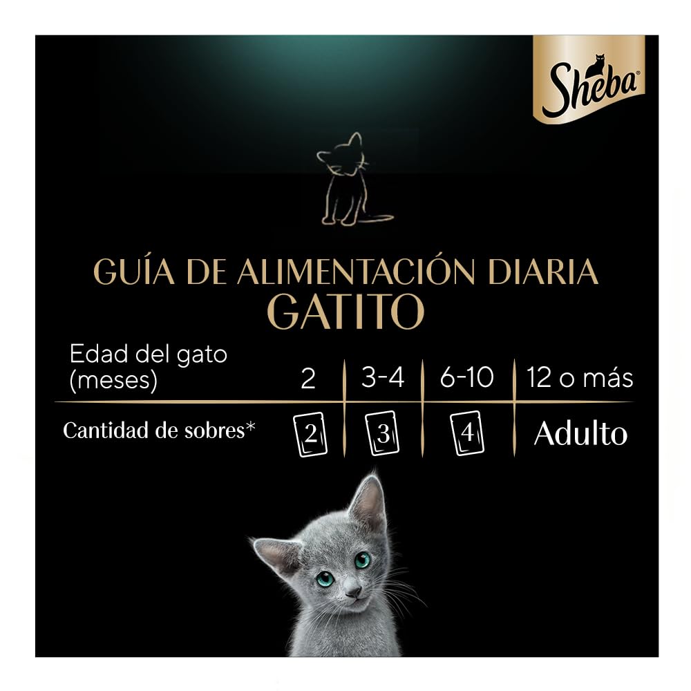 Sheba - Alimento Húmedo para Gatitos, Sabor de Filetes De Atún Marinado, Paquete de 24 Unidades de 85g c/u., Sin Colorantes ni Sabores Artificiales