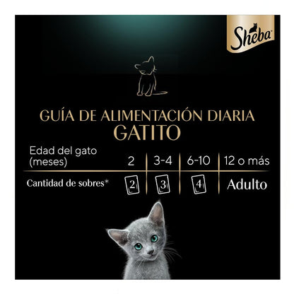 Sheba - Alimento Húmedo para Gatitos, Sabor de Filetes De Atún Marinado, Paquete de 24 Unidades de 85g c/u., Sin Colorantes ni Sabores Artificiales