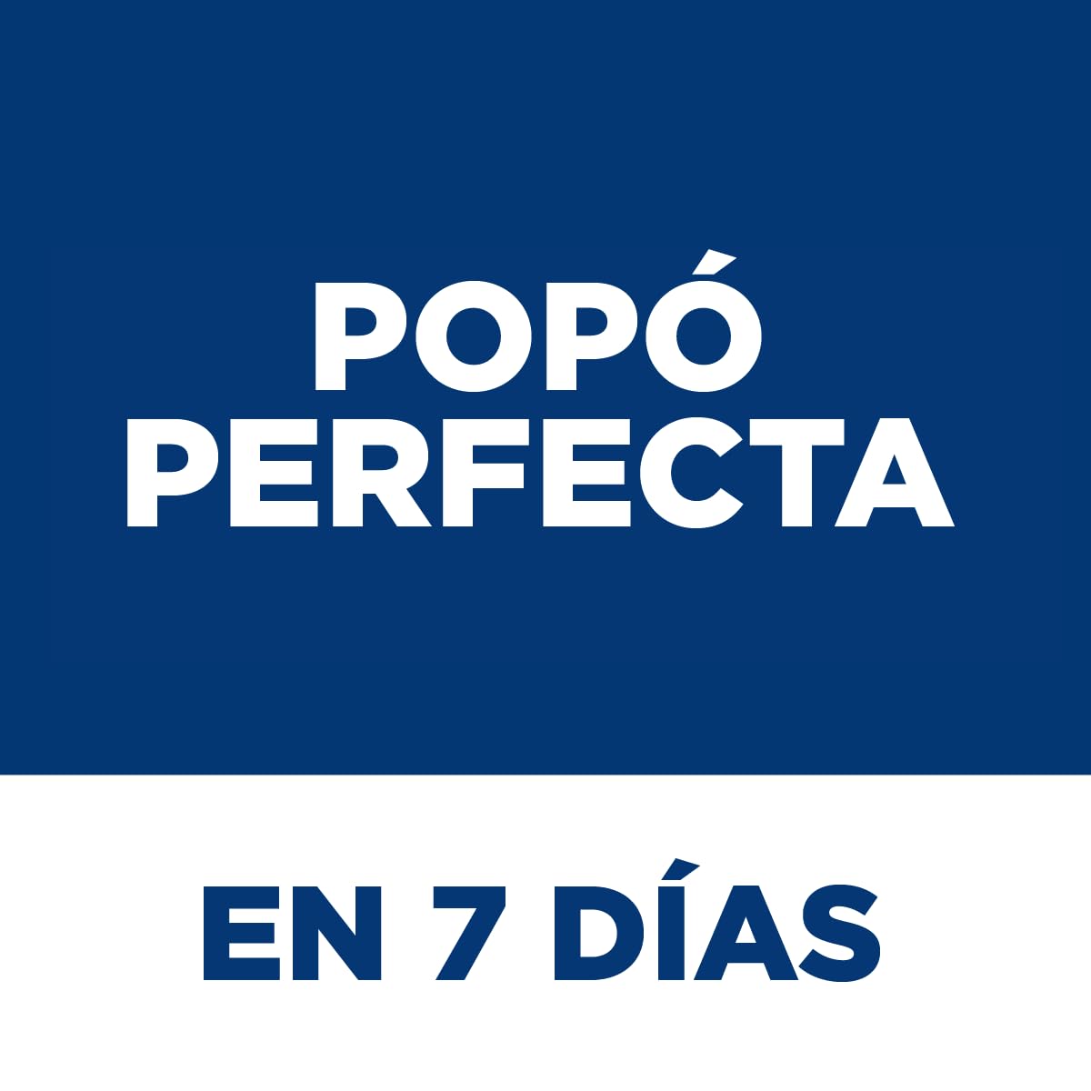 Hill's Science Diet Alimento Húmedo Digestivo para Perro Adulto 12Pack 363G | Alimento húmedo Hill's para perro, cuidado digestivo, bienestar del microbioma, heces firmes, ingredientes de alta calidad
