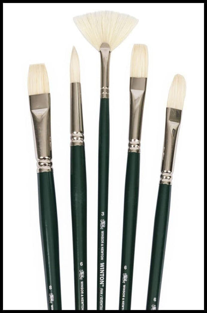 Winsor & Newton - Cepillo para Polvo de Mango Largo, Redondo 6, Avellana 6, Plano 6, Brillante 8, Fan 3, Multicolor, Paquete-de-5, 1