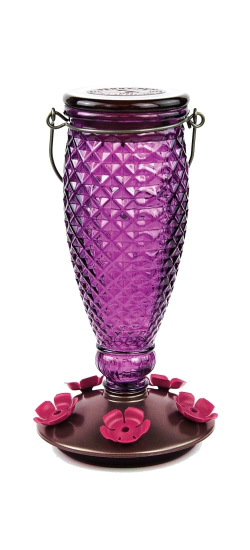 Perky-Pet 9102-1SR - Alimentador de colibrí de Vidrio con Relleno de Diamante Morado con Protectores de Abeja Integrados, decoración de jardín al Aire última intervensión, 24 onzas