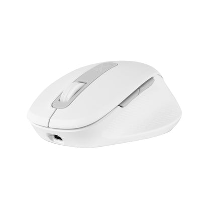 PERFECTCHOICE Mouse Inalámbrico Recargable Click Silencioso Lumiere Pro