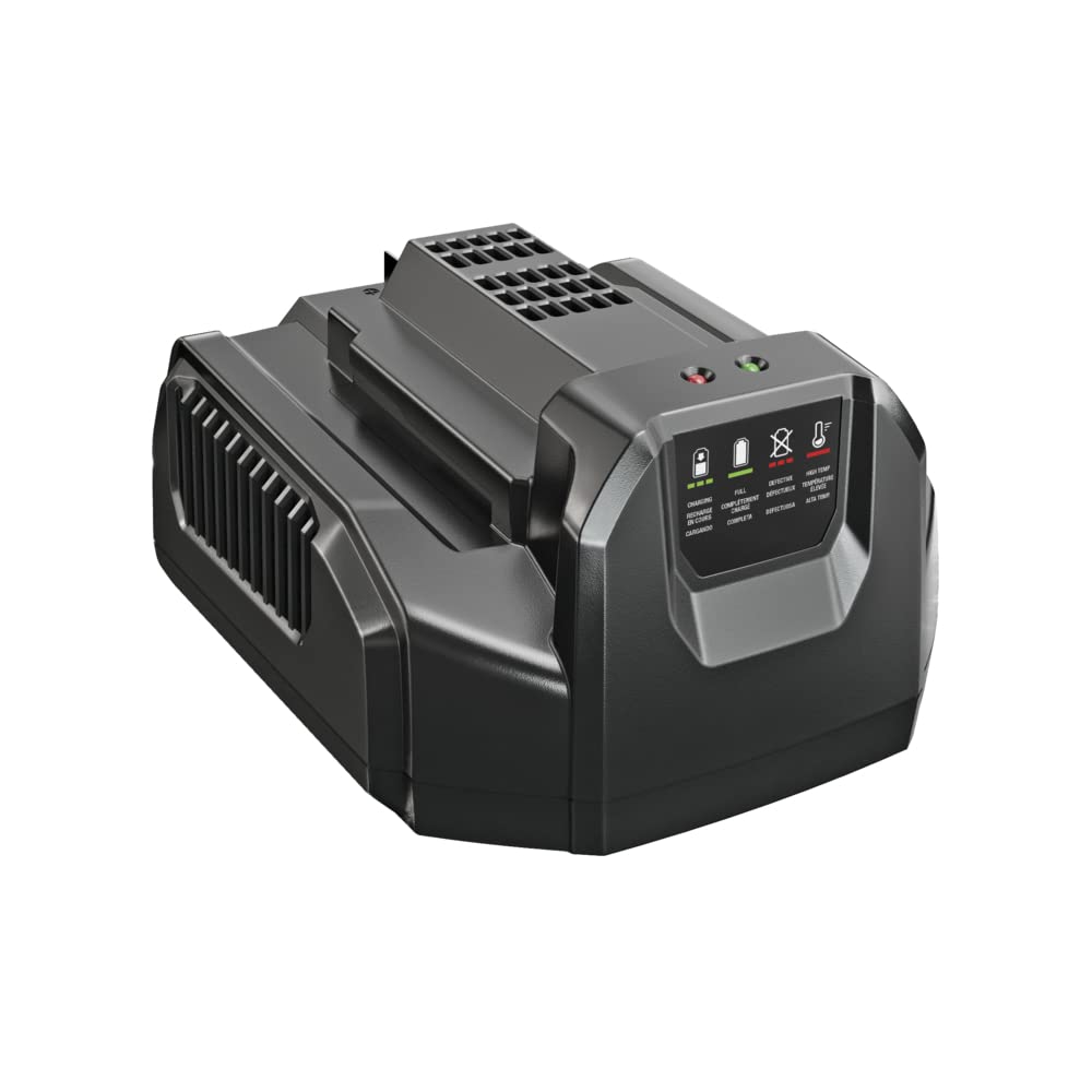 EGO Power+ CH2100 Cargador estándar de Iones de Litio de 56 voltios para Equipos