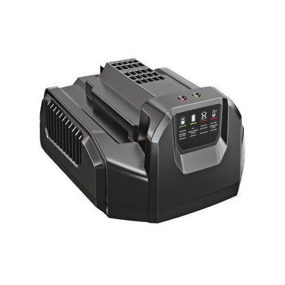 EGO Power+ CH2100 Cargador estándar de Iones de Litio de 56 voltios para Equipos