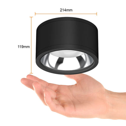 Tecnolite Lámpara Plafón LED de Sobreponer 35 W, Luz Blanca Configurable, IP65, IK08, Interior y Exterior, LED integrado