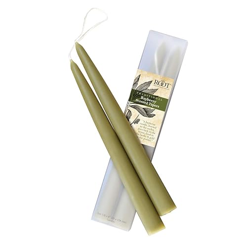 Raíz 12-Inch Tradicional Bayberry perfumado Velas, Dorado, 22,86cm, 1