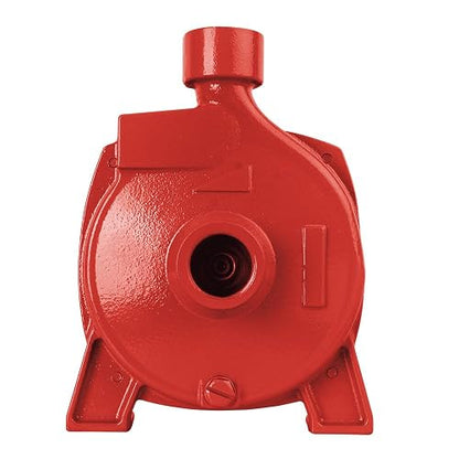 Igoto CPM146 D Bomba de Agua Centrífuga 3/4 HP 127V Bomba Eléctrica para Tinaco Cisterna Riego y Alberca Altura Máx. 28 m Flujo hasta 92 L/min Impulsor de Bronce Protección Térmica