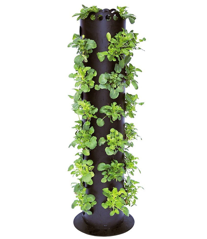 BALDUR-Garten Apollo Exports International AP-FT002 Torre de Flores no Empotrado, 3 pies