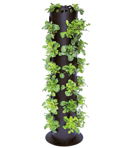 BALDUR-Garten Apollo Exports International AP-FT002 Torre de Flores no Empotrado, 3 pies
